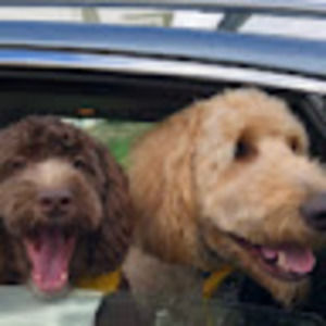 Meet your Posher, Tim